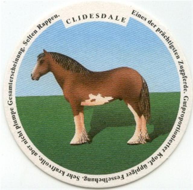 winterthur zh-ch haldengut pferde 3b (rund210-clidesdale)